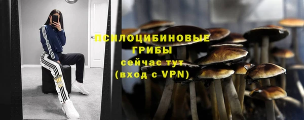 PSILOCYBIN Алексин