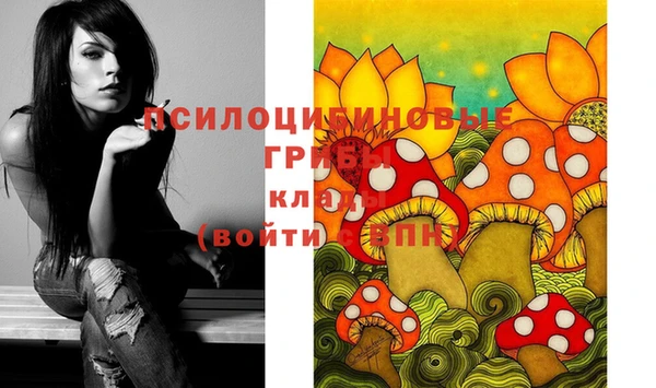 PSILOCYBIN Алексин