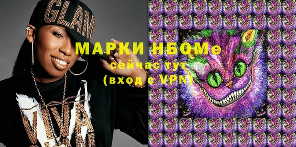 стаф Алзамай