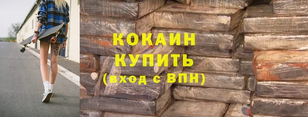 стаф Алзамай