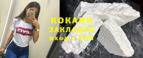 стаф Алзамай