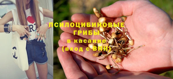 стаф Алзамай