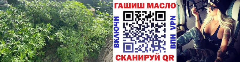 ТГК концентрат  Купить где  Ахтырский 